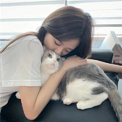 猪圈